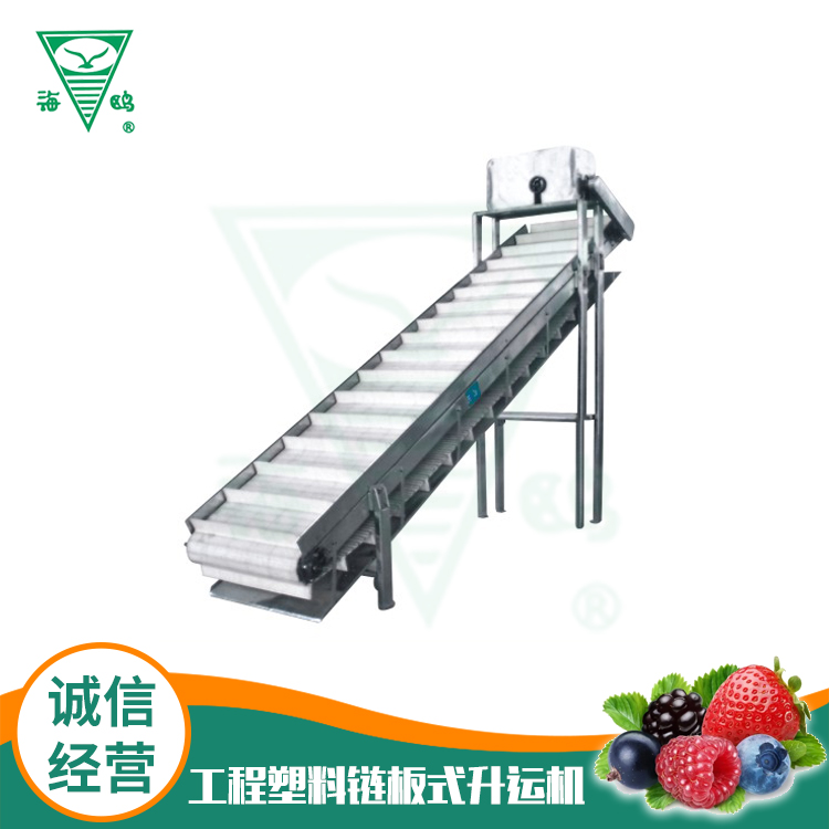 工程塑料链板式升运机